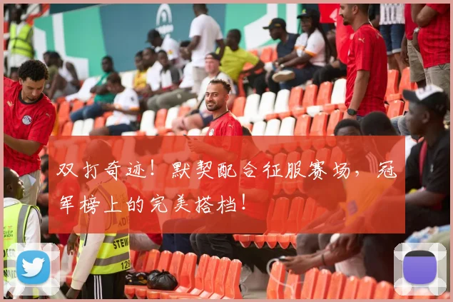 双打奇迹!默契配合征服赛场,冠军榜上的完美搭档!