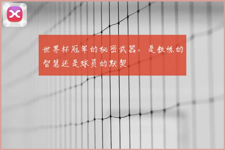 世界杯冠军的秘密武器,是教练的智慧还是球员的默契