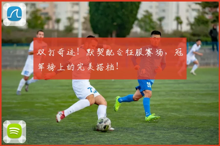 双打奇迹!默契配合征服赛场,冠军榜上的完美搭档!
