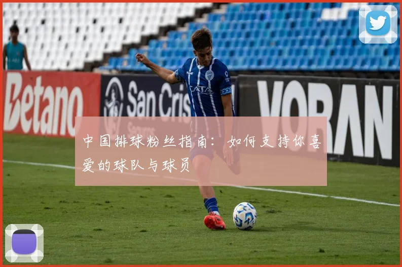 中国排球粉丝指南:如何支持你喜爱的球队与球员
