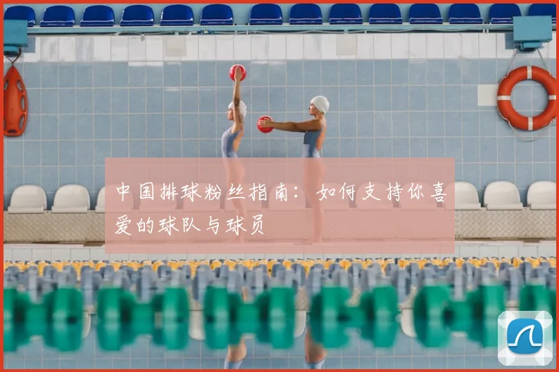 中国排球粉丝指南：如何支持你喜爱的球队与球员