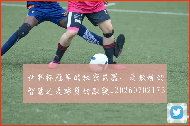 世界杯冠军的秘密武器,是教练的智慧还是球员的默契_20260702173732